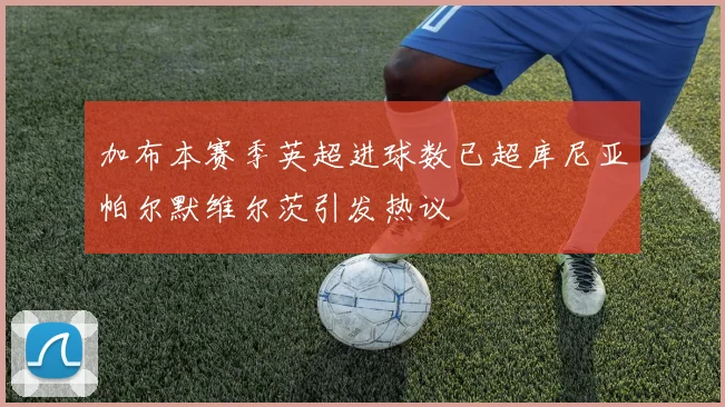 加布本赛季英超进球数已超库尼亚帕尔默维尔茨引发热议